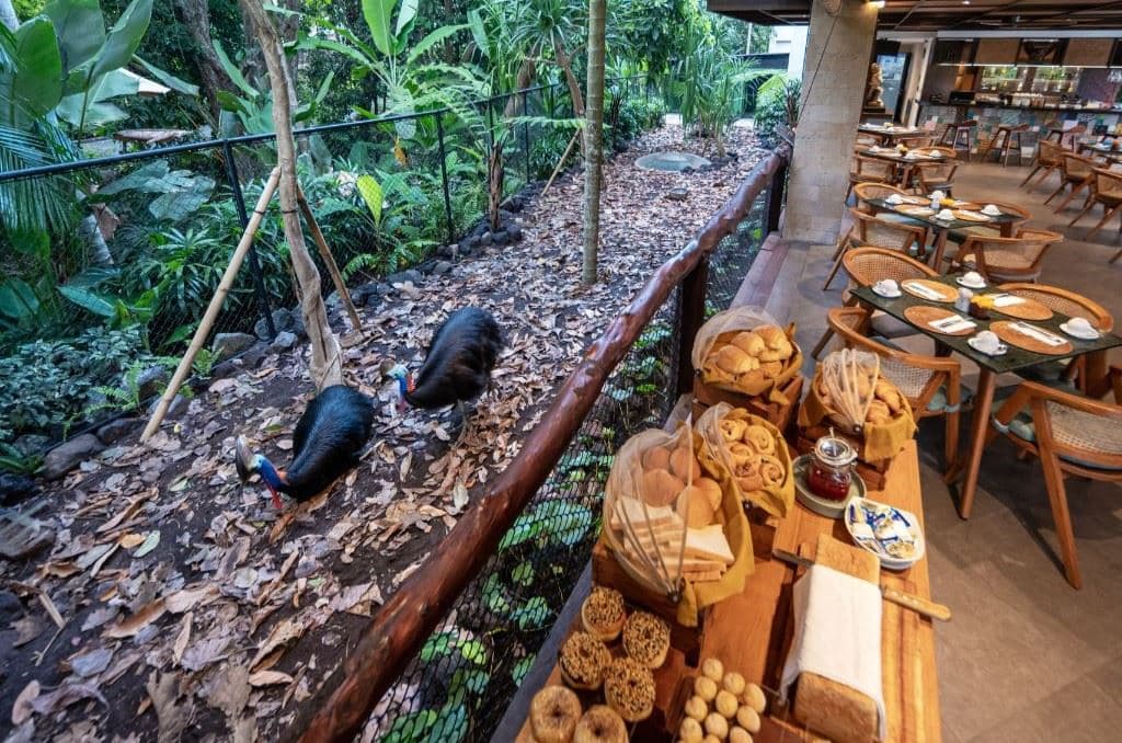 bars-cassowary-bar