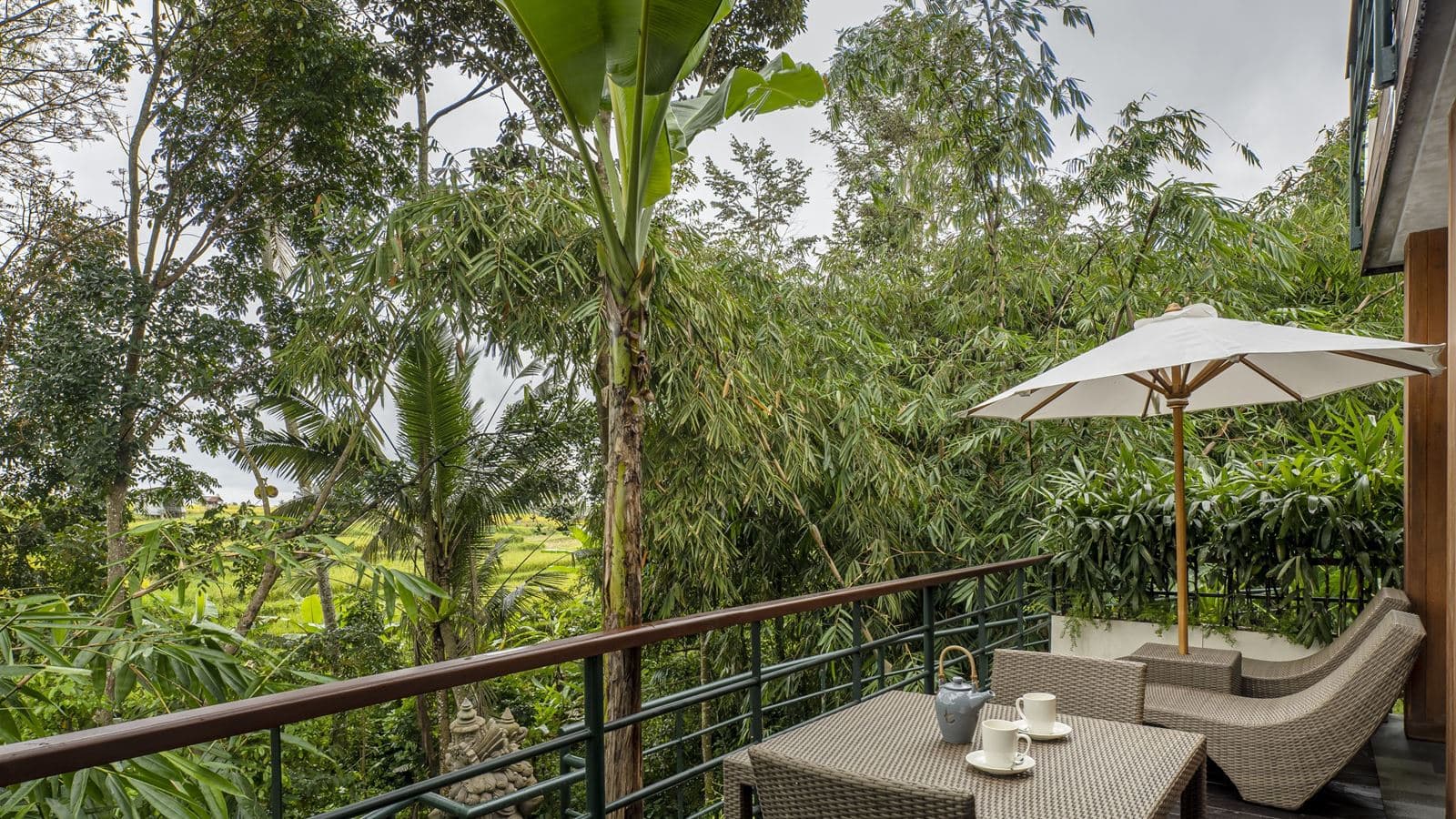rooms-jungle-suite