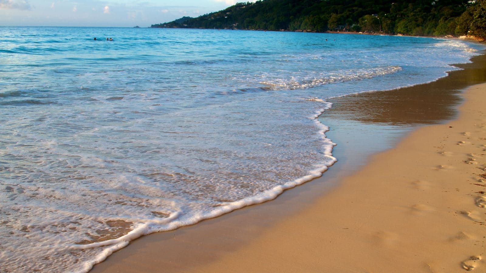 beach-beach