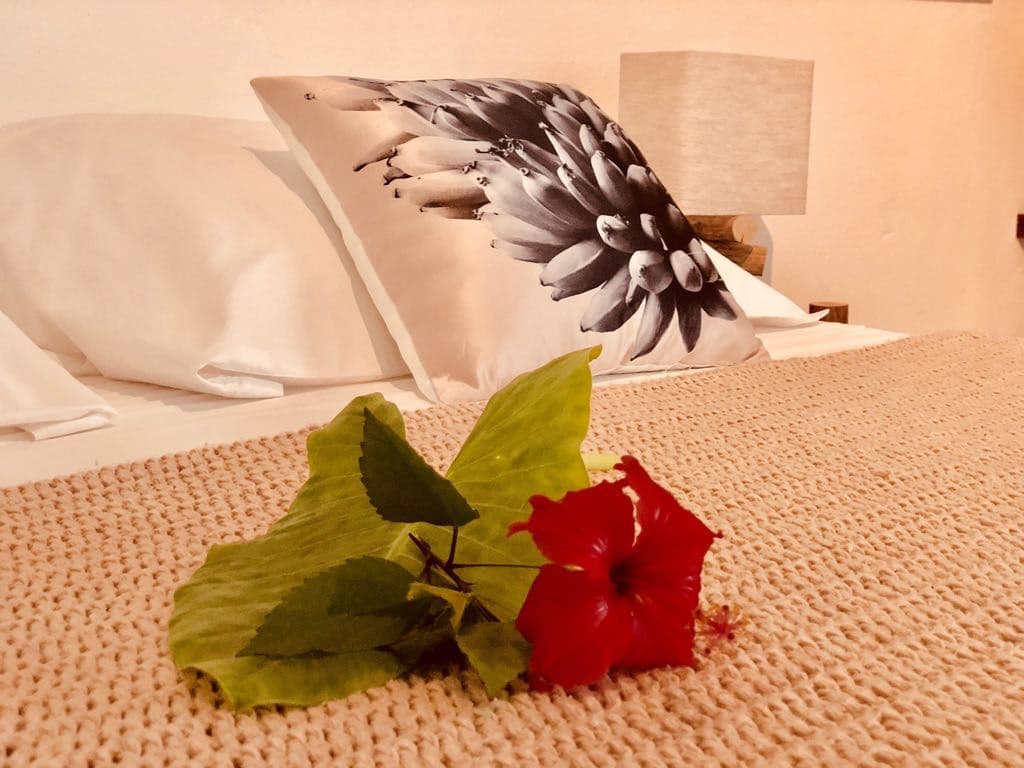 rooms-eden-garden--charm-room
