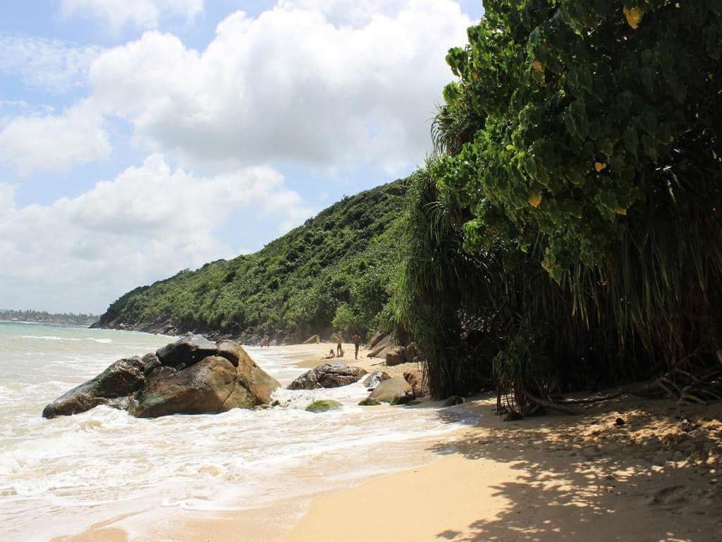 beach-beach