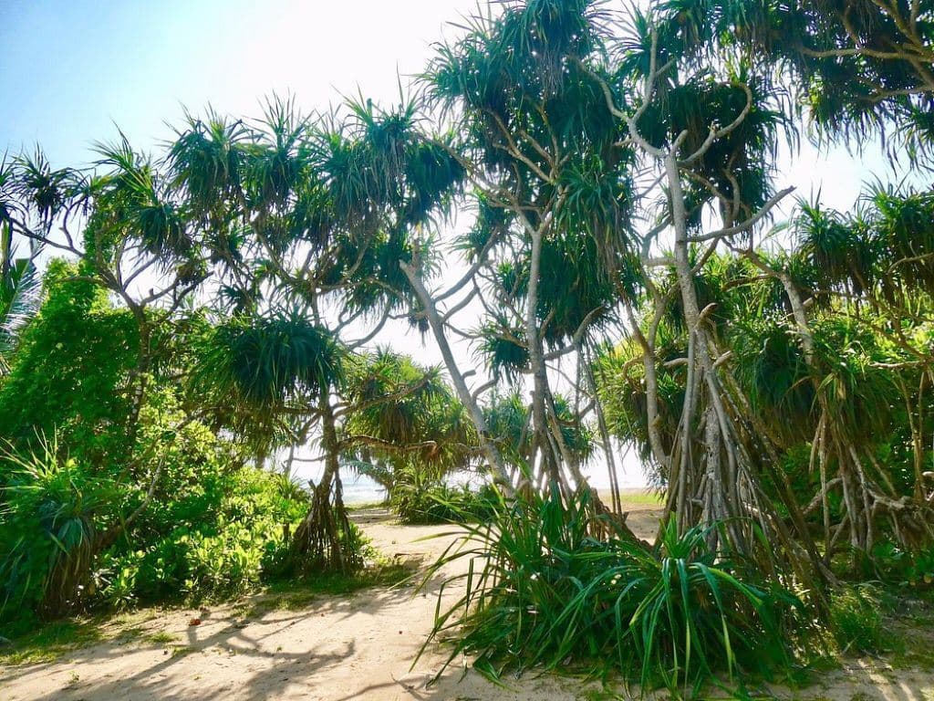 beach-beach