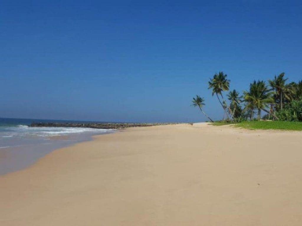 beach-beach