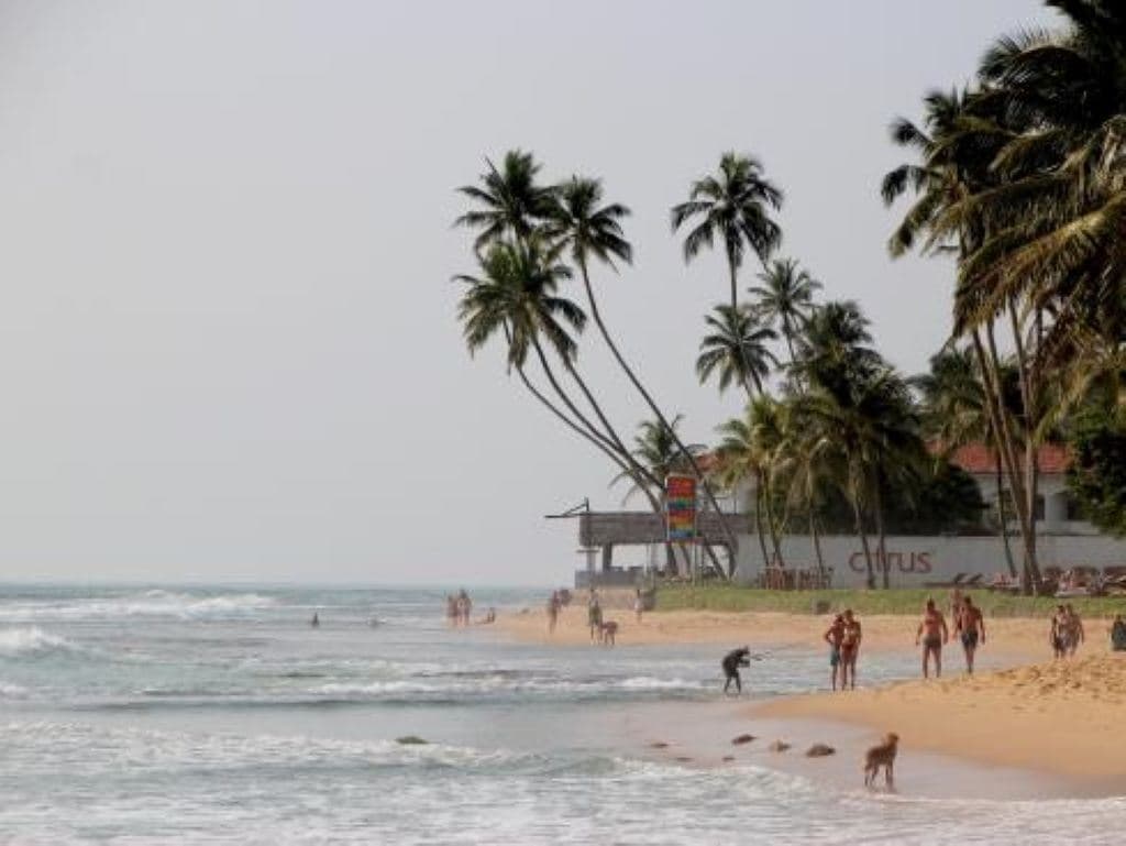 beach-beach