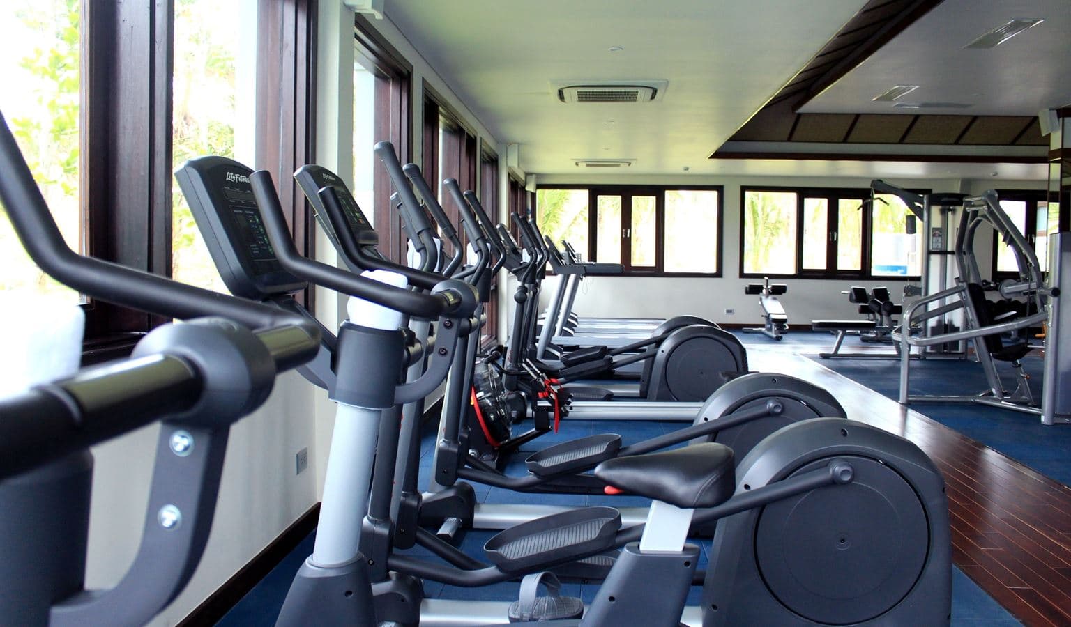 sport-sport