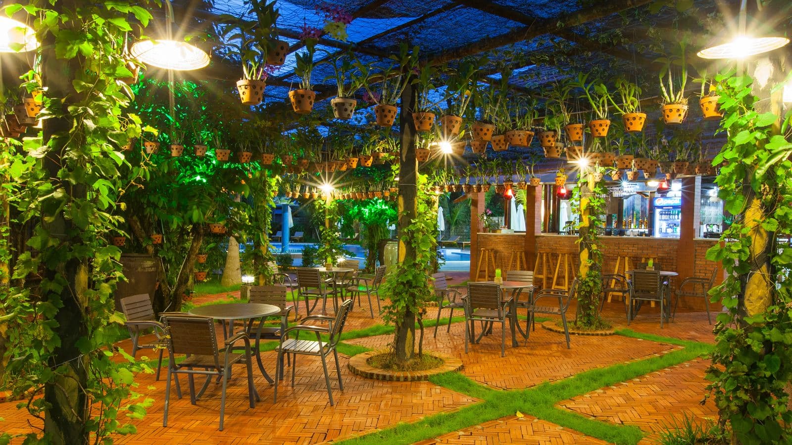 bars-wooden-bar
