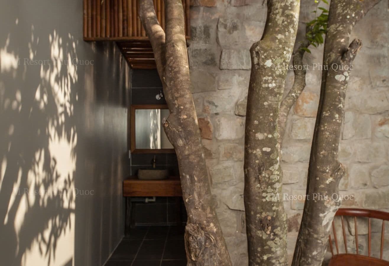 rooms-tropical-room