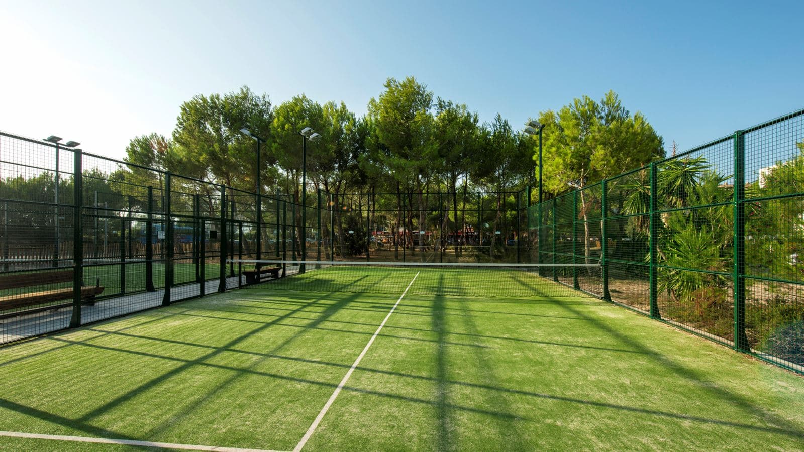 sport-sport