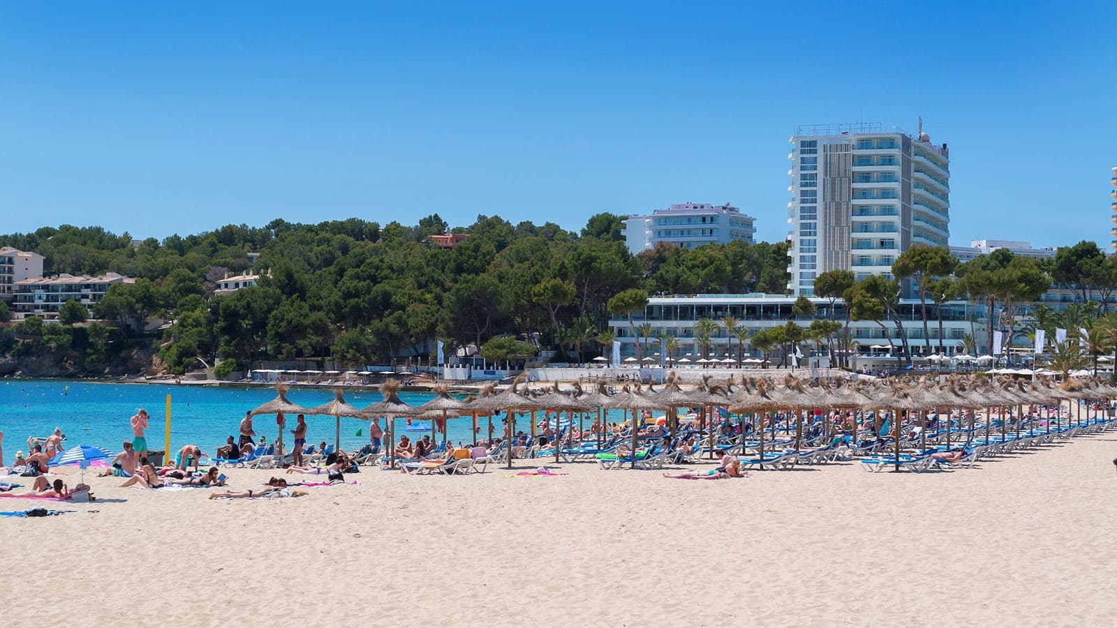 beach-beach