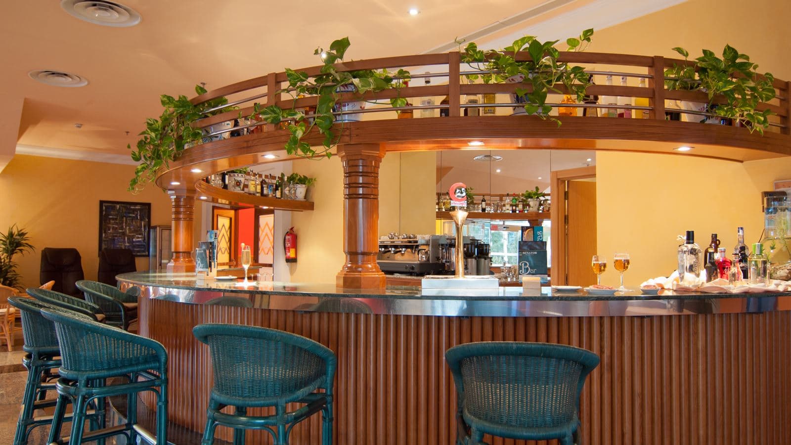bars-bar-recepción