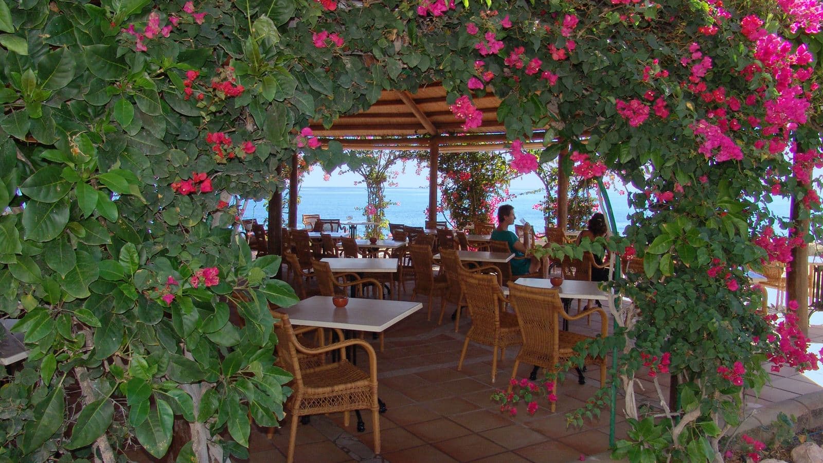 bars-bar-playa
