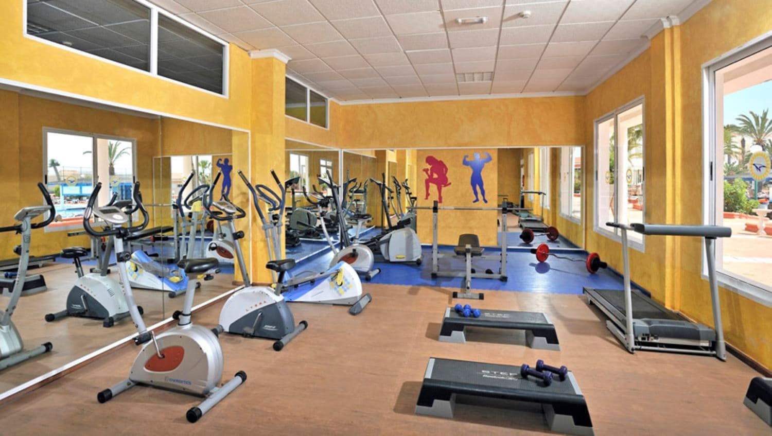 sport-sport