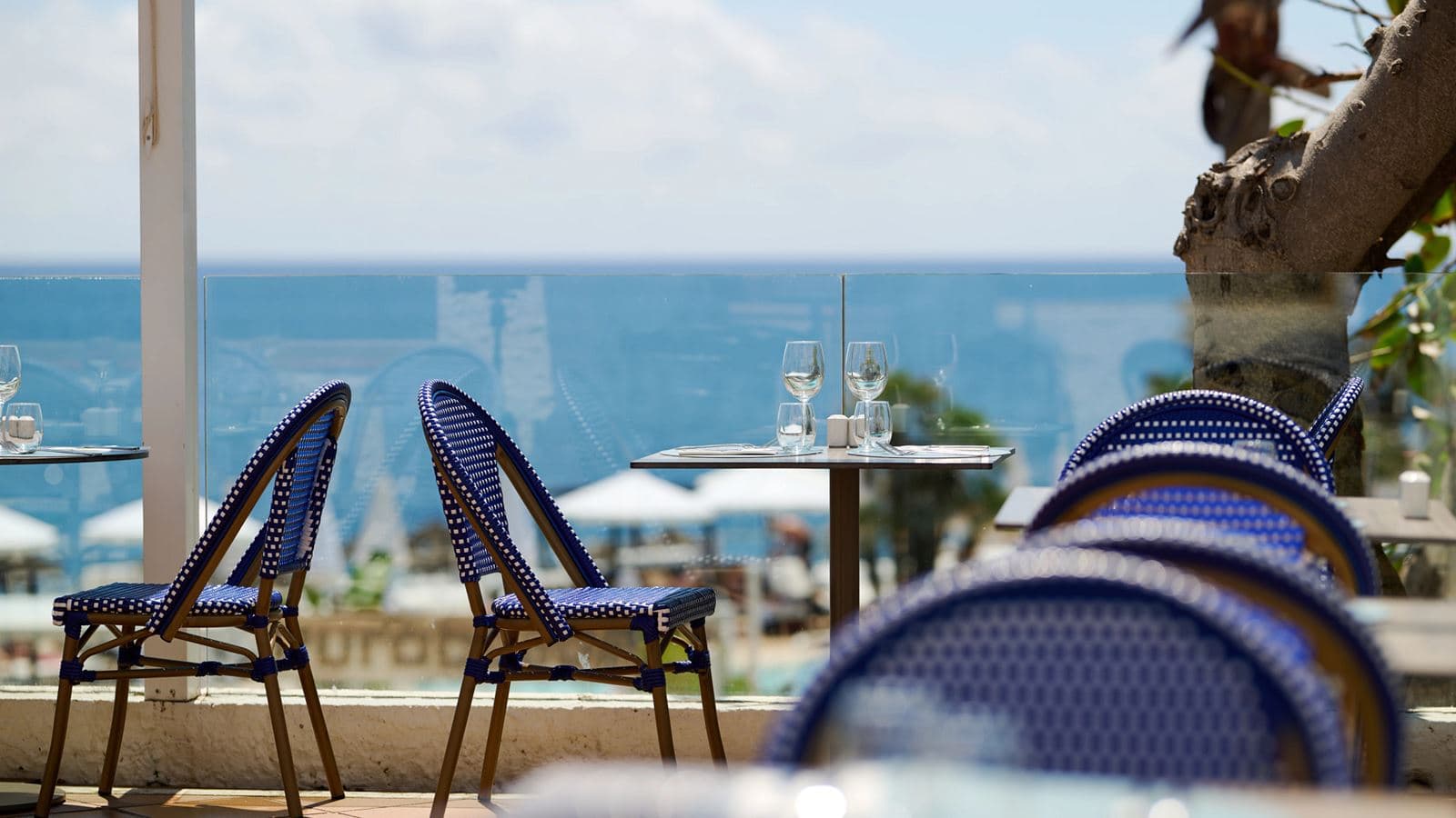 restaurants-terra