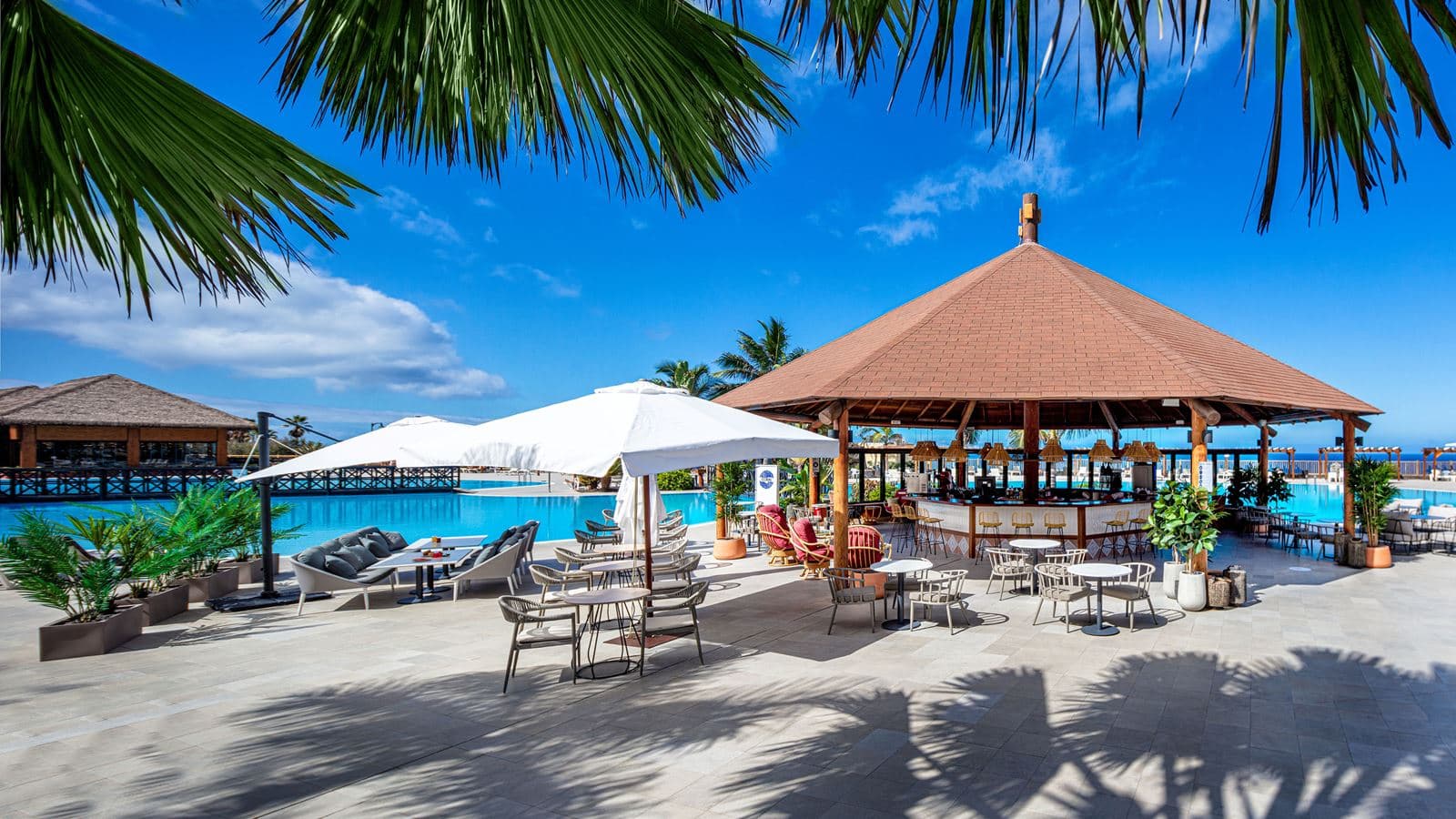 bars-coral-bar