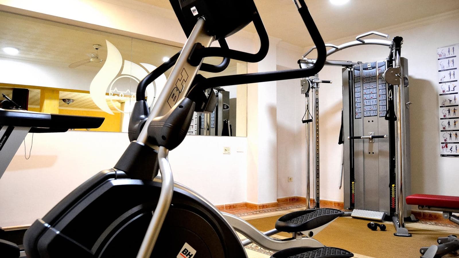 sport-sport
