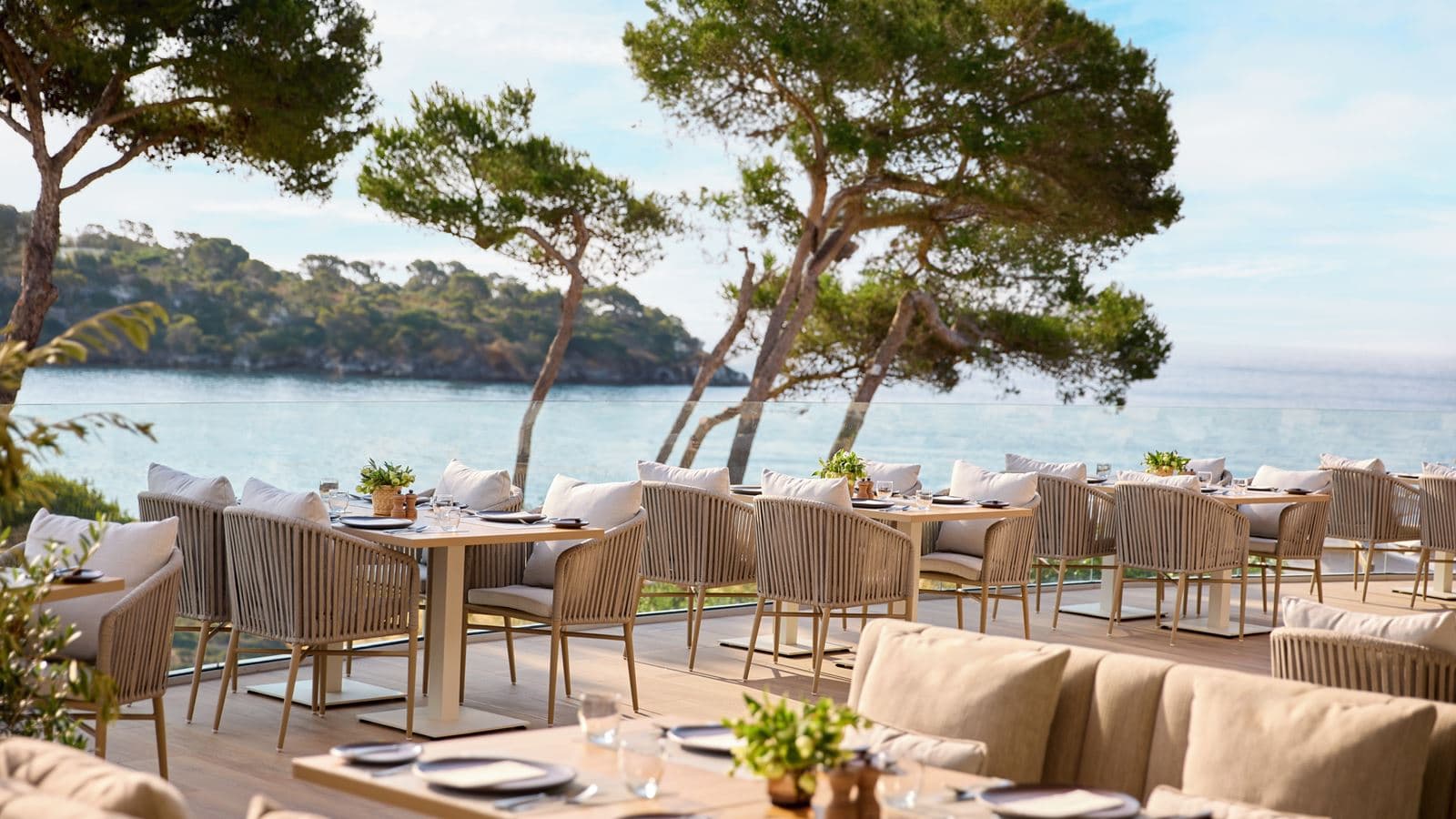 restaurants-oliva