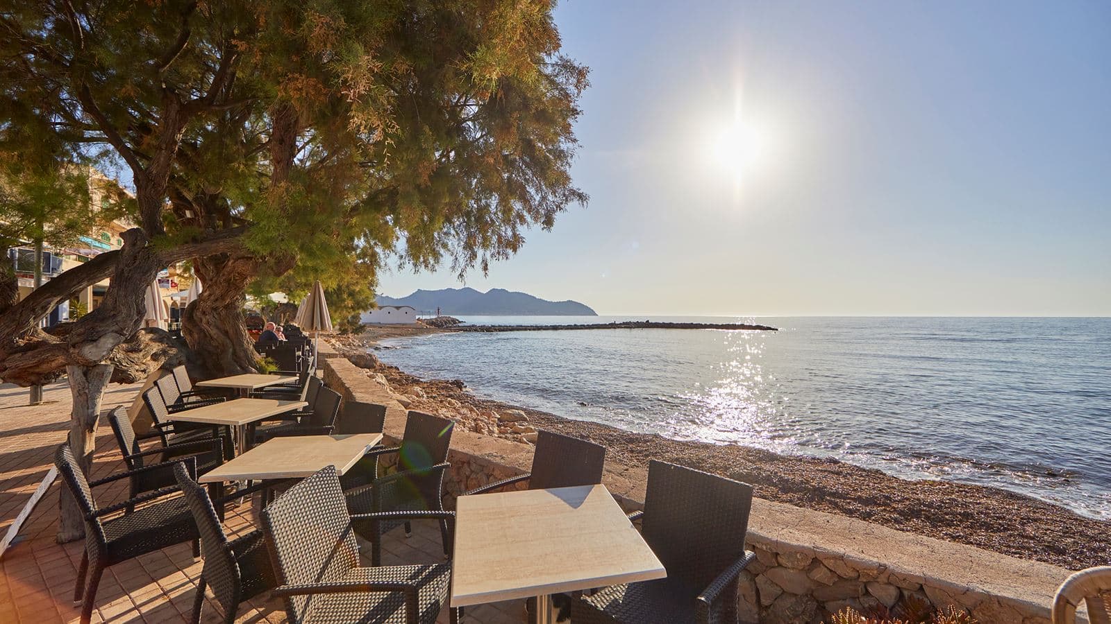 bars-bar-terrace