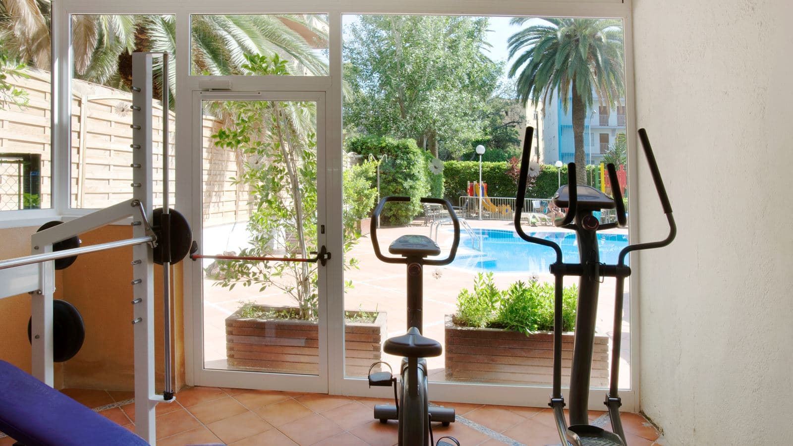 sport-sport