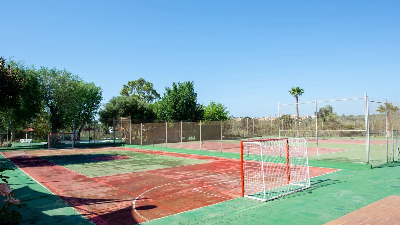 sport-sport