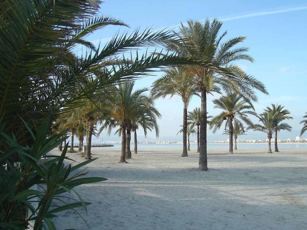 beach-beach