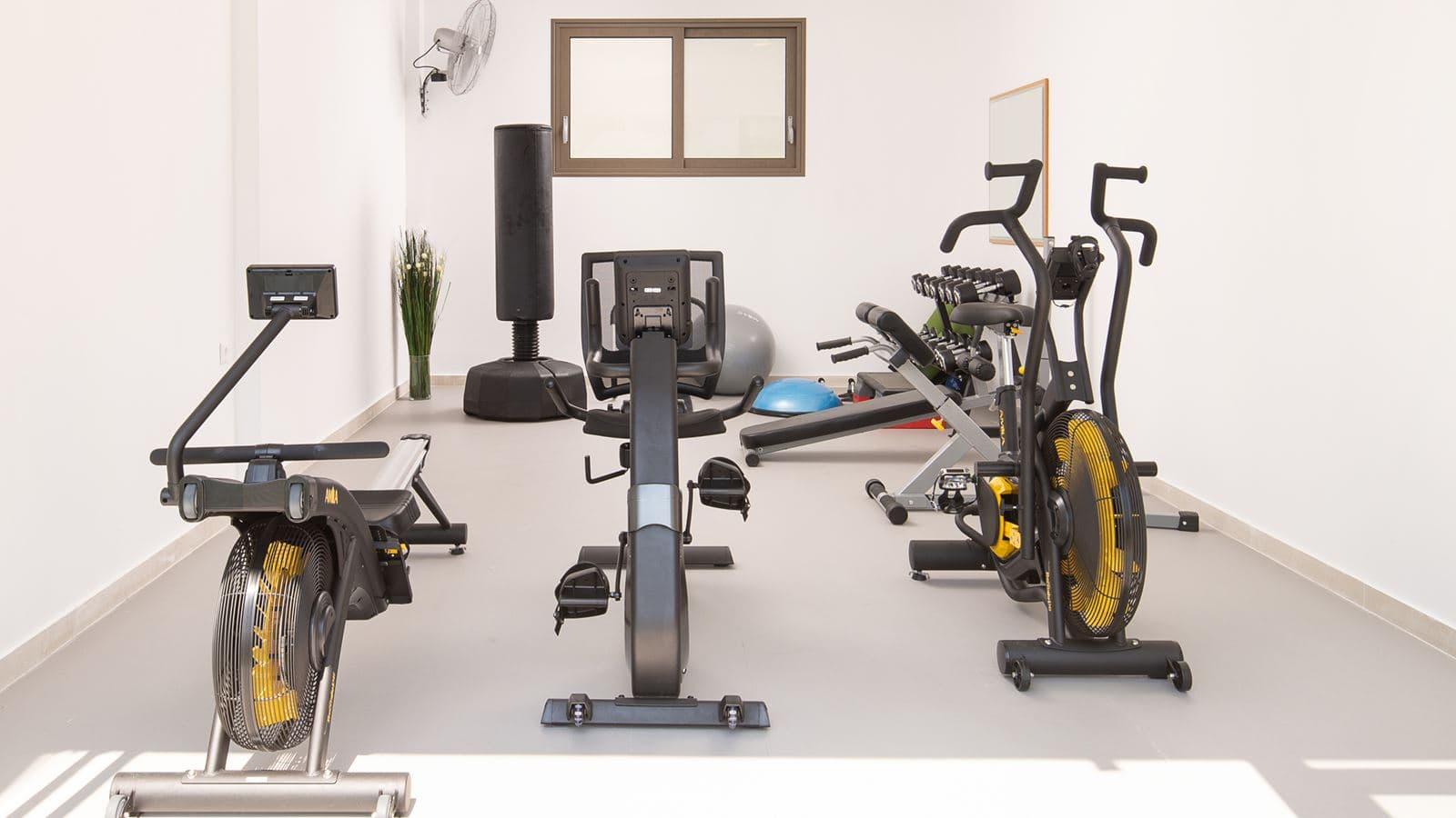 sport-main-building