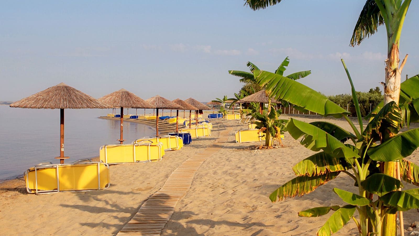 beach-beach