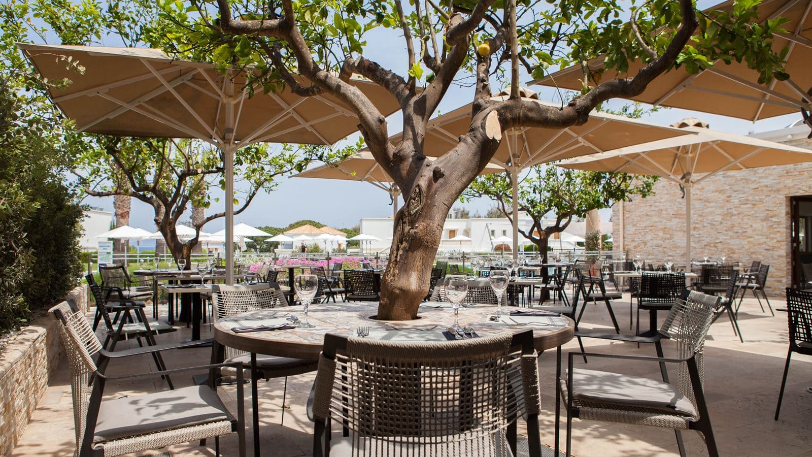 restaurants-neptune-main-restaurant