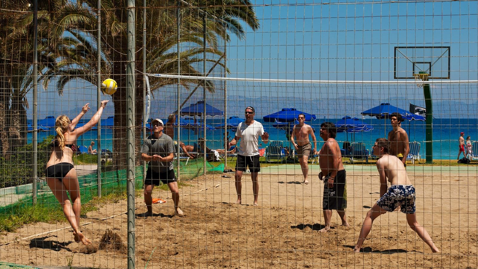 sport-sport