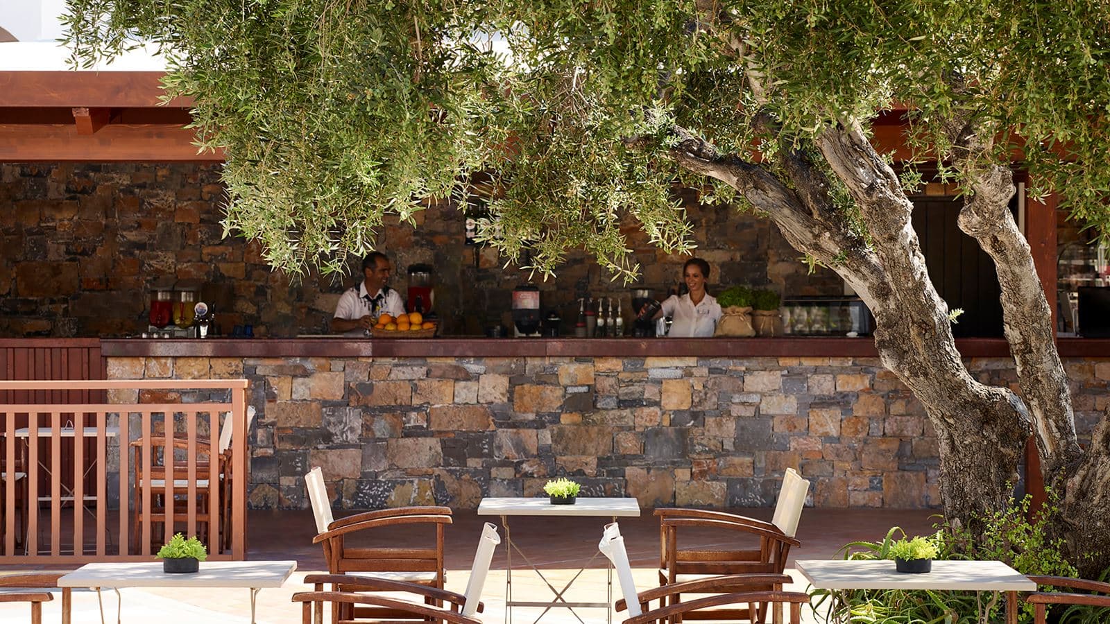 bars-kourites-bar