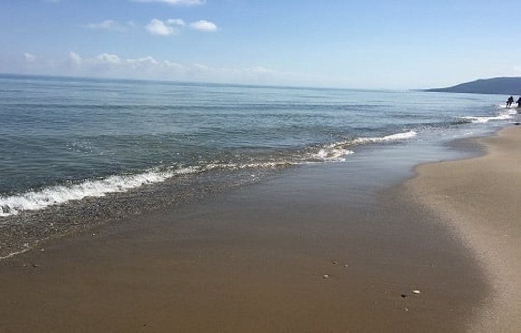 beach-beach