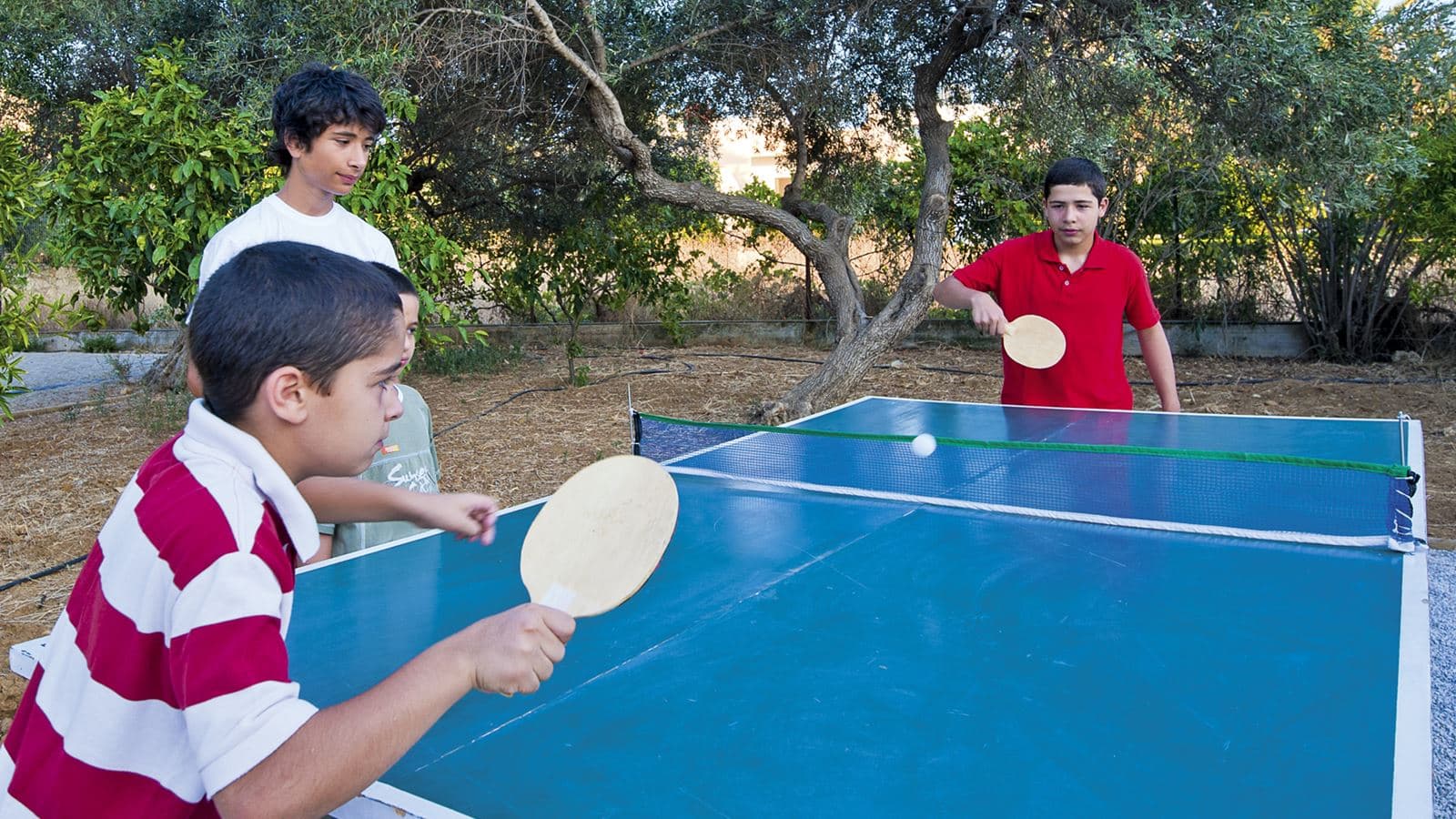 sport-sport