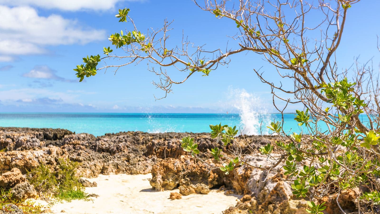 beach-beach