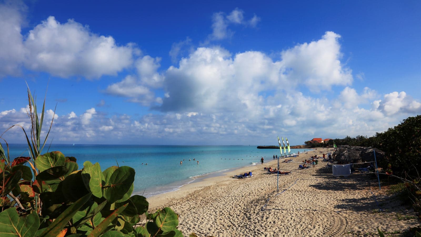 beach-beach
