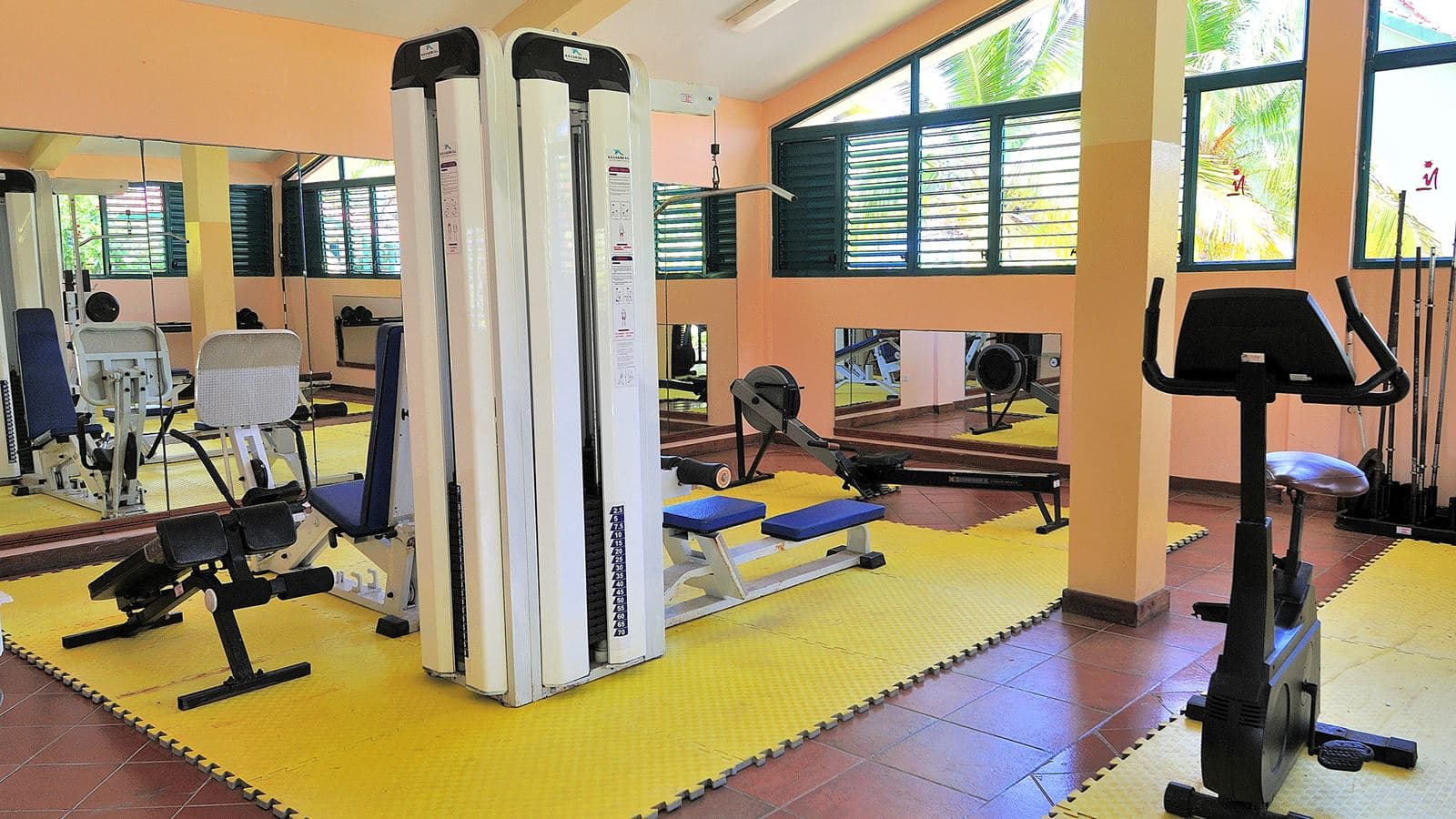 sport-sport