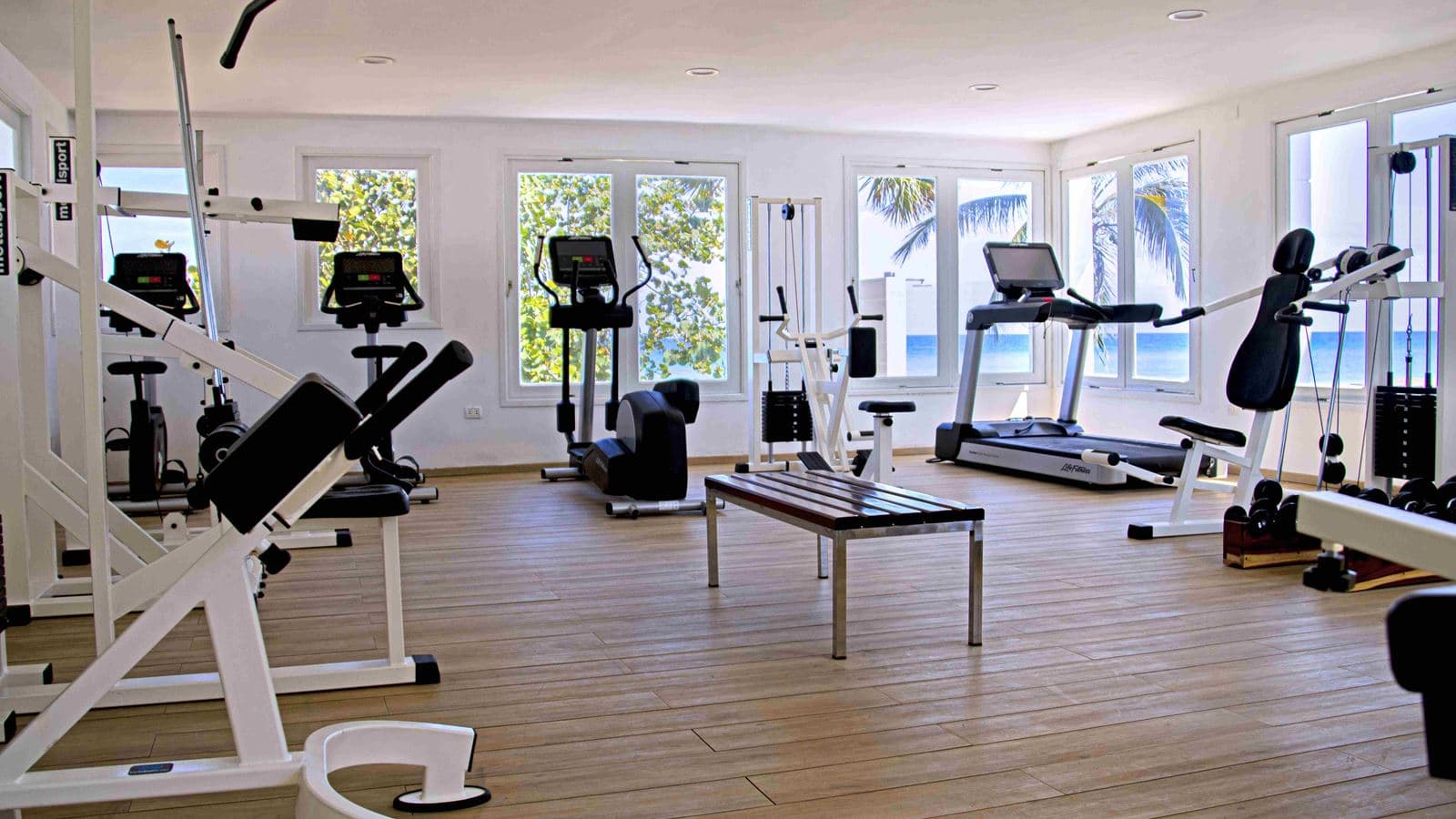 sport-sport