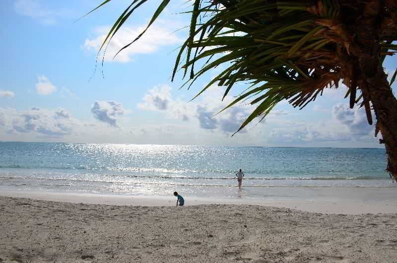 beach-beach