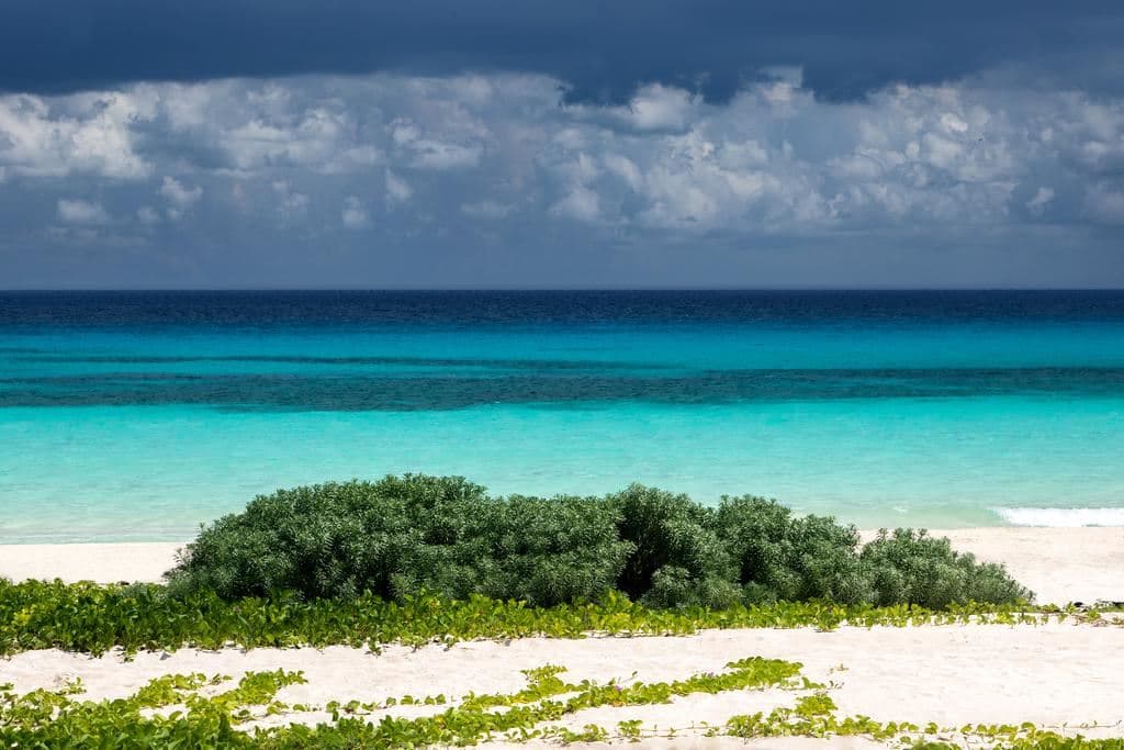 beach-beach