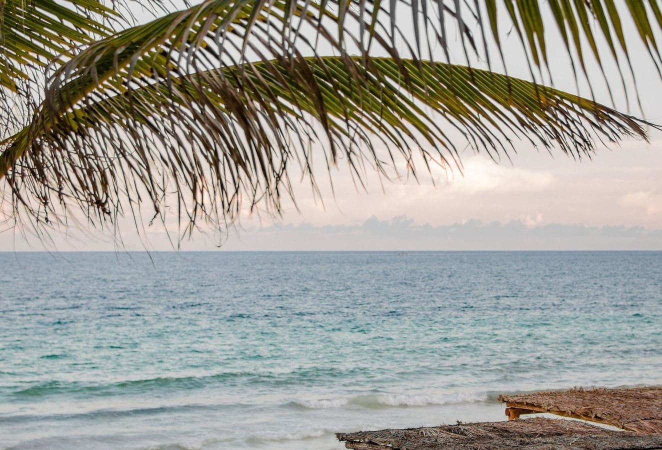beach-beach