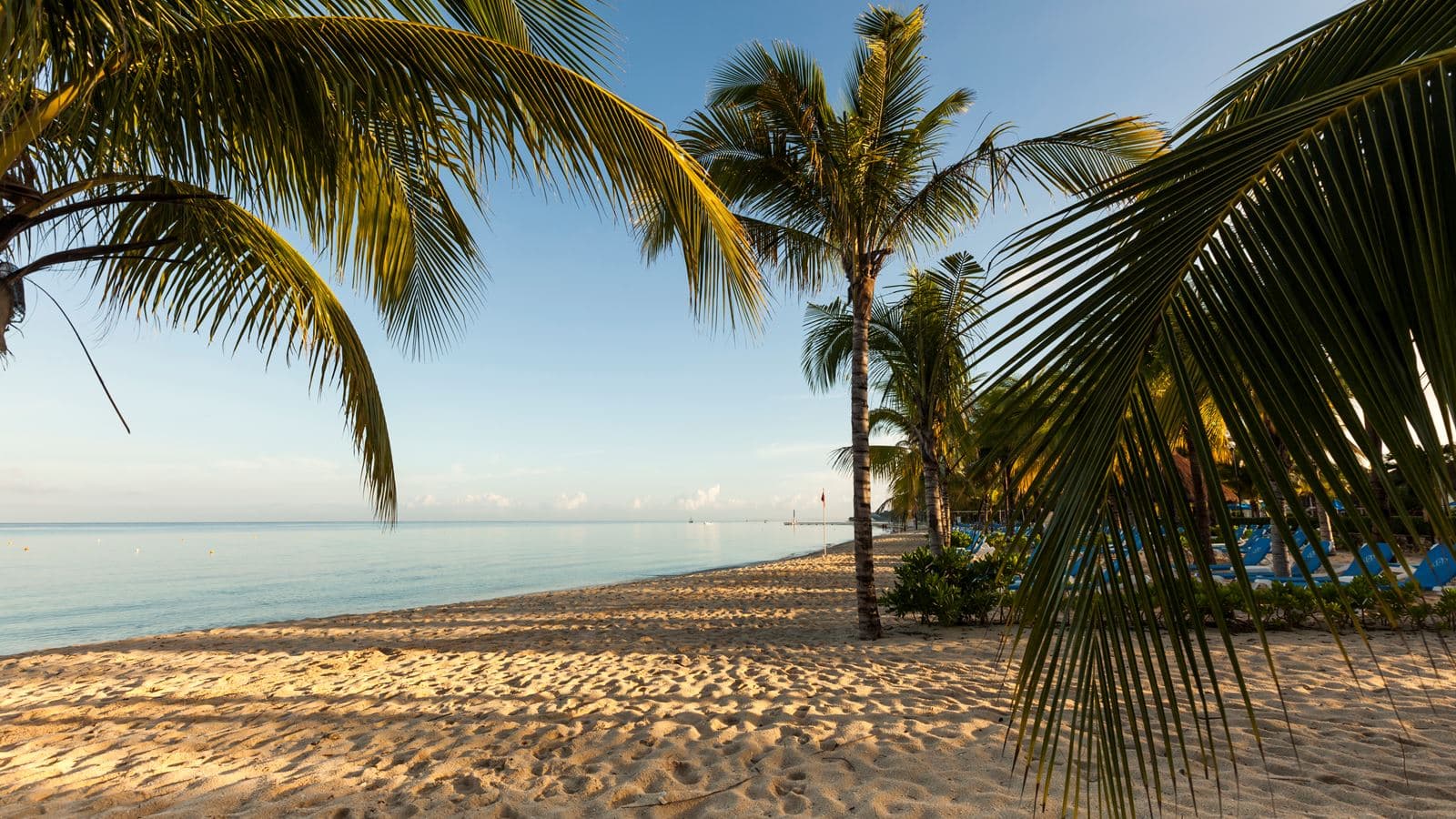 beach-beach