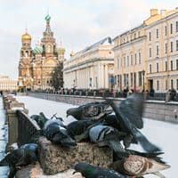 Общий preview