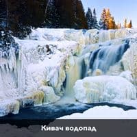 Общий preview