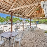 Бары preview