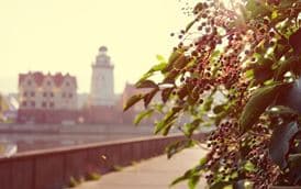 3 дн/2 н ТРИ СЧАСТЛИВЫХ ДНЯ В КАЛИНИНГРАДЕ
