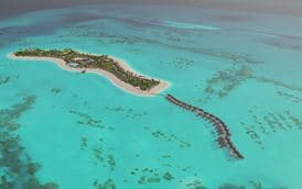JOY ISLAND