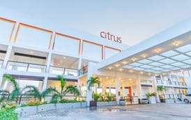 CITRUS WASKADUWA