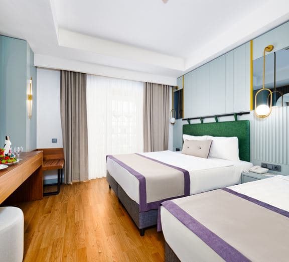 STANDART ROOM LAND VIEW Номера