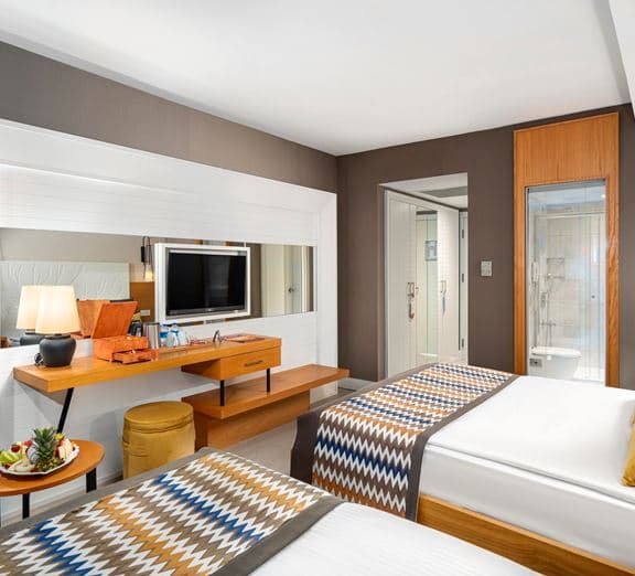 STANDART ROOM LAND VIEW Номера