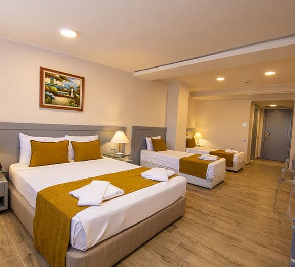 ATTIC LARGE ROOM NO BALCONY Номера