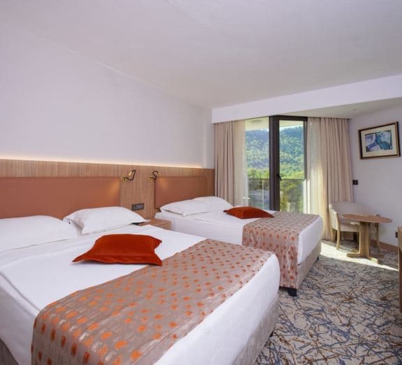 STANDARD ROOM LAND VIEW Номера