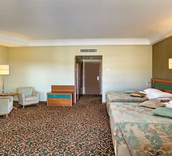 STANDARD LARGE ROOM SEA VIEW Номера